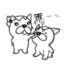 Dogs couple（個別スタンプ：18）