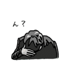 帽子の少年（個別スタンプ：39）