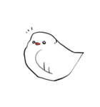 文鳥ちゃんスタンプ（個別スタンプ：8）