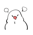 文鳥ちゃんスタンプ（個別スタンプ：11）