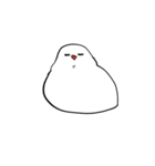 文鳥ちゃんスタンプ（個別スタンプ：25）