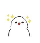 文鳥ちゃんスタンプ（個別スタンプ：30）