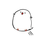 文鳥ちゃんスタンプ（個別スタンプ：38）