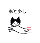 ハチワレねこ ごまくん（個別スタンプ：3）