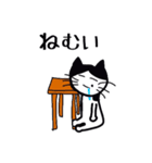 ハチワレねこ ごまくん（個別スタンプ：8）