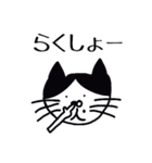 ハチワレねこ ごまくん（個別スタンプ：13）