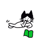 ハチワレねこ ごまくん（個別スタンプ：38）