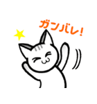 るびねこさんスタンプ（個別スタンプ：23）