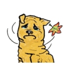 Stupid Crayon Creatures（個別スタンプ：37）