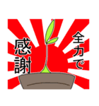 喋る観賞用植物2（個別スタンプ：21）