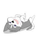 Hapisky（個別スタンプ：14）