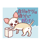 実弦と愛犬バンブーのファンキーな日常（個別スタンプ：34）