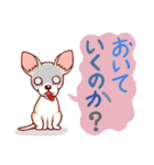 実弦と愛犬バンブーのファンキーな日常（個別スタンプ：36）