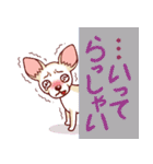 実弦と愛犬バンブーのファンキーな日常（個別スタンプ：37）