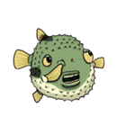 Marine Biological star show（個別スタンプ：18）