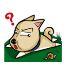 budo dog（個別スタンプ：17）