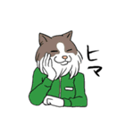 社会人っぽい動物たち（個別スタンプ：16）