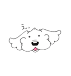 愛犬マルプー（個別スタンプ：20）