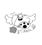 愛犬マルプー（個別スタンプ：24）