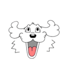 愛犬マルプー（個別スタンプ：39）