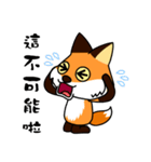 Tangerine fox（個別スタンプ：15）