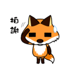 Tangerine fox（個別スタンプ：23）