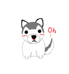 Husbear TOYA（個別スタンプ：1）