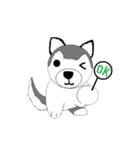 Husbear TOYA（個別スタンプ：5）