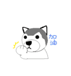 Husbear TOYA（個別スタンプ：12）