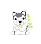 Husbear TOYA（個別スタンプ：14）