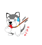 Husbear TOYA（個別スタンプ：19）