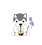 Husbear TOYA（個別スタンプ：21）