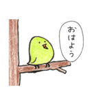 とり沢さん（個別スタンプ：1）