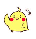 ぴよスタンプ（個別スタンプ：1）