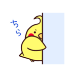 ぴよスタンプ（個別スタンプ：3）