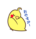 ぴよスタンプ（個別スタンプ：4）