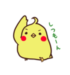 ぴよスタンプ（個別スタンプ：10）