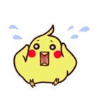ぴよスタンプ（個別スタンプ：14）