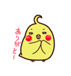 ぴよスタンプ（個別スタンプ：16）