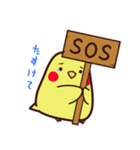 ぴよスタンプ（個別スタンプ：31）