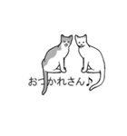 もふもふ猫の吹き出し関西弁（個別スタンプ：5）