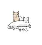 もふもふ猫の吹き出し関西弁（個別スタンプ：14）