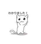 白ねこペロの吹き出しスタンプ（個別スタンプ：16）