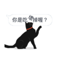 LazyFatBlackCat 2 - Conversation（個別スタンプ：7）