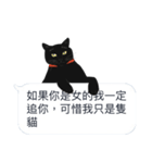 LazyFatBlackCat 2 - Conversation（個別スタンプ：12）