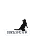 LazyFatBlackCat 2 - Conversation（個別スタンプ：20）