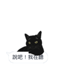 LazyFatBlackCat 2 - Conversation（個別スタンプ：22）