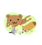 cute bear: zany show（個別スタンプ：40）