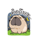 Pongpang the pug（個別スタンプ：2）