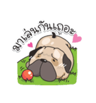 Pongpang the pug（個別スタンプ：3）